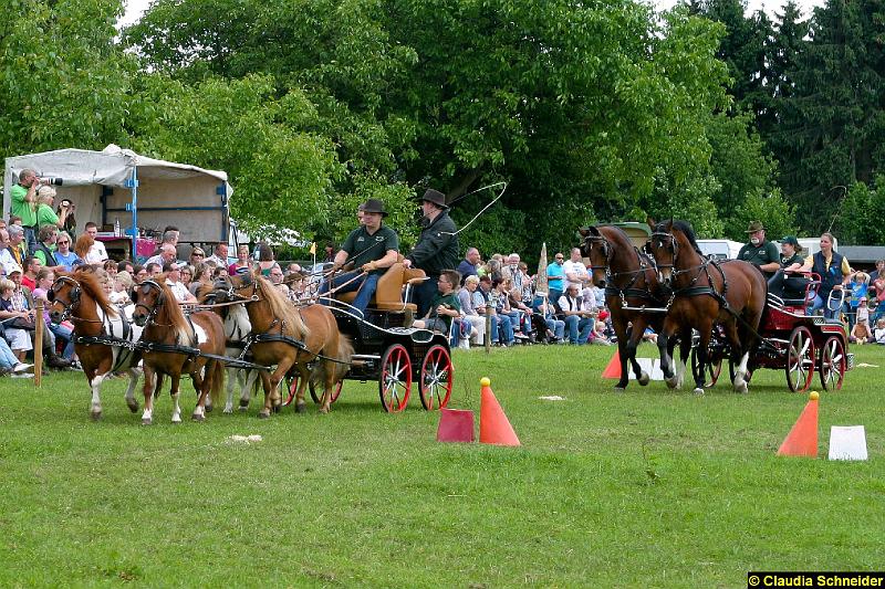 Ponytag Bosbach 2012-010.jpg